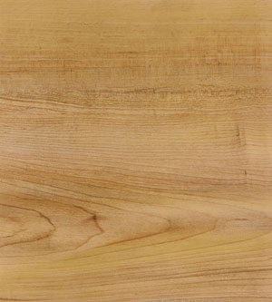 楓樺木（亮光）